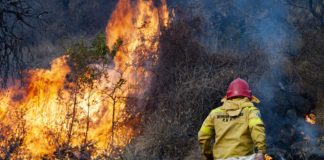 Lograron frenar el incendio forestal en Ancasti
