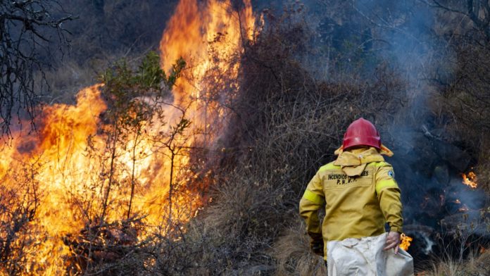 INCENDIO FORESTAL