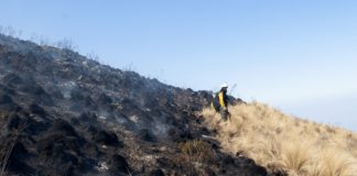 Relevan el impacto ambiental del incendio en Los Ángeles