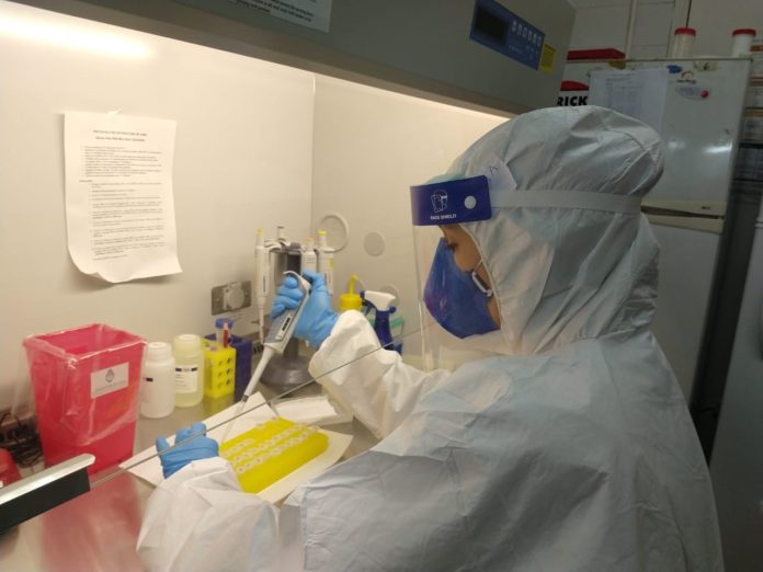 LaboratorioCentral (2)