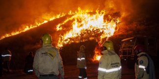 Contienen un incendio forestar Camino a El Rodeo