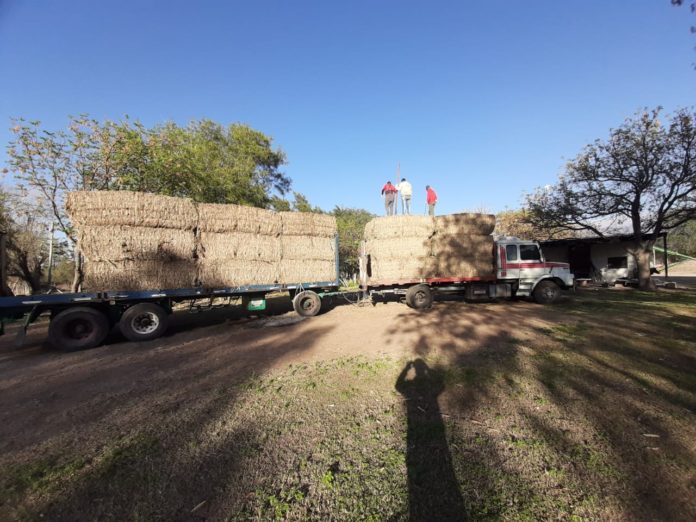 Asistencia a productores ganaderos