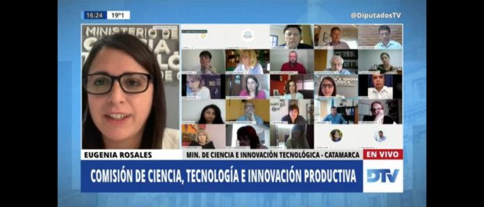 Eugenia Rosales disertando en el Congreso