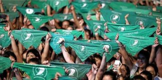 Aborto legal: diputadas catamarqueñas celebraron la aprobación de la IVE