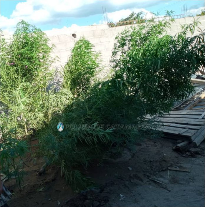 DROGAS PELIGROSAS I