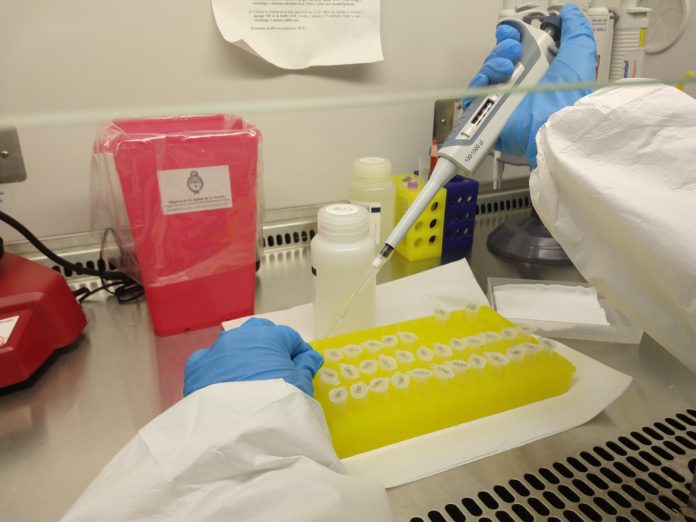 PCR Laboratorio Central - Ministerio de Salud
