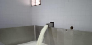 AICAT S.E. compró a Milkaut 6 mil litros de leche para incrementar la producción de Cotali