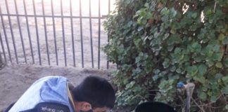 Tareas de prevención y control del Dengue