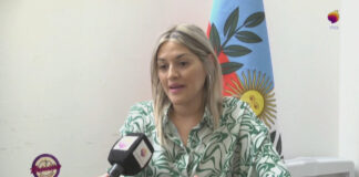 Autorizarán ver los partidos del mundial en las escuelas