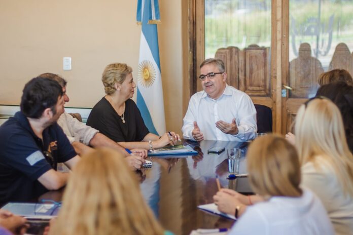 docentes