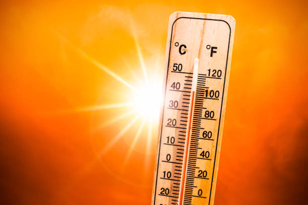 istockphoto-1243760572-612x612