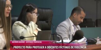 Presentaron proyecto para proteger a docentes víctimas de violencia de género