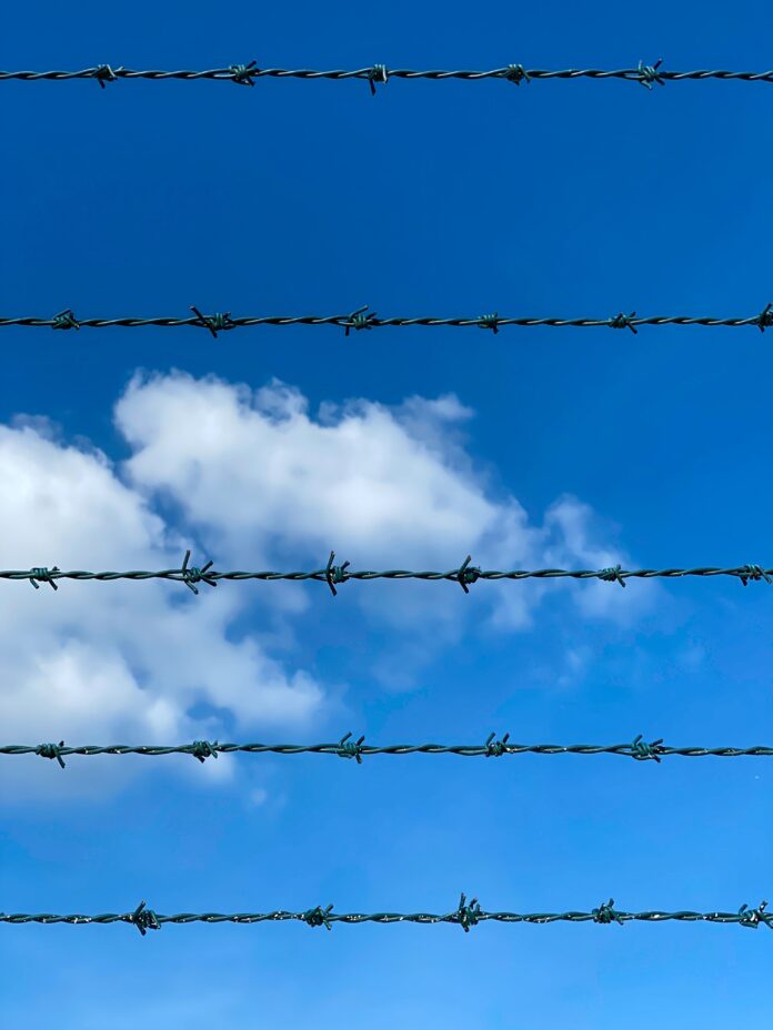 pexels-aleksandar-pasaric-3370580
