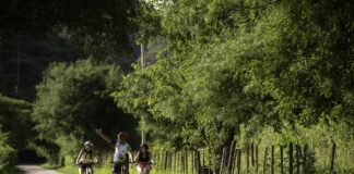 InTur 4: Nación reedita Programa de Incentivo para Inversión Turística