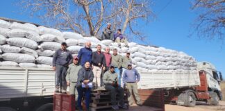 Catamarca exportó nueces a la India y porotos a Colombia