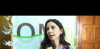 “Escrituras de mujeres en y por la paz, sumando grullas por la paz” en la Oficina de la mujer