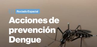 Mañana viernes, se realizarán operativos de fumigación en barrios del Norte