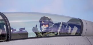 Milei participó de forma virtual del acto en el que Petri formalizó la compra de 24 aeronaves F-16