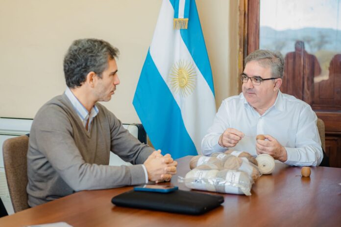 Nueva empresa invertirá en la producción de fibra de vicuña en Catamarca