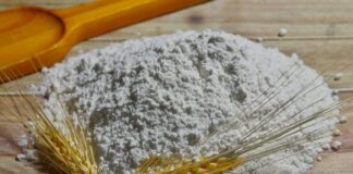 OSEP actualizó los montos del bono de celiaquía