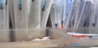 Vacuna contra el Dengue: amplían la inscripción para personas de 50 a 59 años