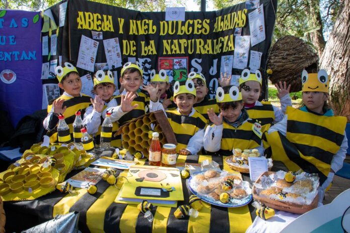 Educación realizó la Feria Ciencias del Valle Central con la participación de 110 proyectos 1