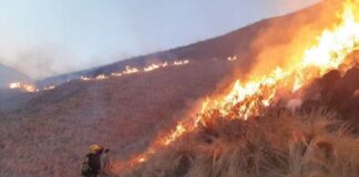 Es critica la situación por los incendios forestales