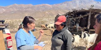 Lleguemos al Barrio en Palo Blanco y Medanitos