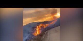 Gran esfuerzo por apagar los incendios forestales