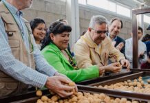 San José puso en funcionamiento la planta procesadora de nuez