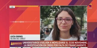 «La situación de la investigación en el país es bastante crítica»