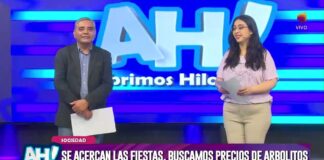 Fiestas navideñas: cuánto cuesta armar un árbol de Navidad