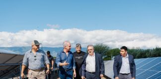 Energía limpia: Olivas al Mundo inauguró sistema de paneles solares que optimiza la producción olivícola