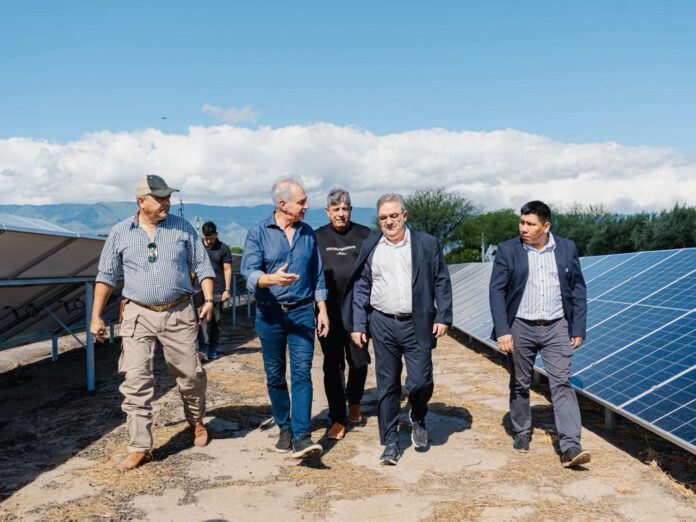 WhatsApp Image 2025-03-28 at 10.58.23 AM