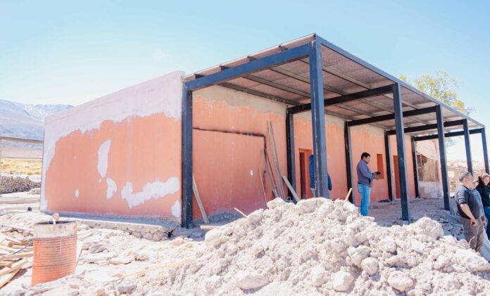 Catamarca fortalece la trazabilidad y el valor agregado de la fibra de vicuña (1)