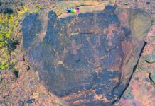 Tinogasta: descubren un campo de petroglifos en Santa Rosa