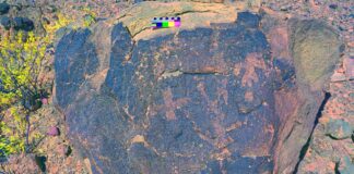 Tinogasta: descubren un campo de petroglifos en Santa Rosa