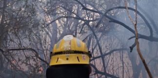 Preocupación y alerta por el incremento de incendios forestales en la provincia