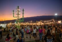 Convocatoria online para expositores de la próxima Feria del Patio – Edición Navidad