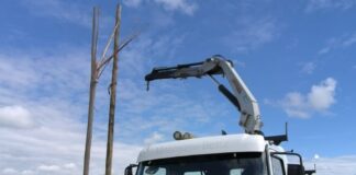 El sistema eléctrico del Este fue muy afectado por el temporal
