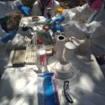 CONICET y Salud encabezan una investigación sobre Hantavirus en la provincia