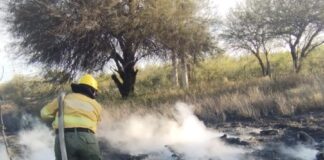 Refuerzan la prevención ante la temporada alta de incendios forestales