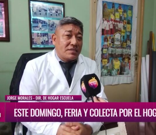 Feria solidaria para colaborar con el Hogar Escuela