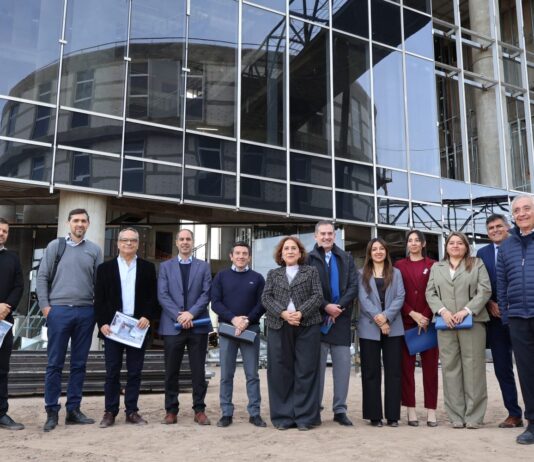 Incluir Salud: ministros de Salud del Norte Grande acordaron acciones para garantizar las prestaciones
