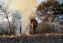 Corte total en Ruta Provincial N°4 por incendio