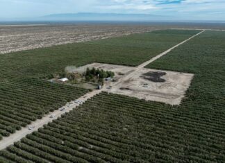 Primer semestre 2026: Catamarca lideró la expansión de las exportaciones en el país