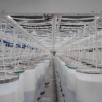 Algodonera del Valle amplía su planta y apuesta a más tecnología, empleo y exportaciones