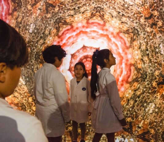 CATA cumple un año y lo celebra con una nueva experiencia que fusiona arte y tecnología