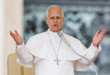 La salud del Papa León XIV: ¿Peligra su visita a la Argentina?